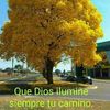 andres valencia