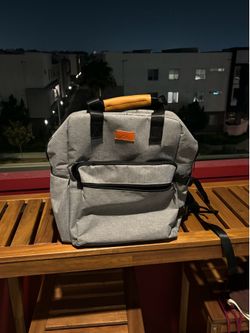 Dog travel backpack