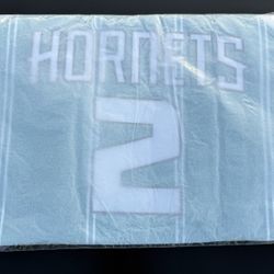 LaMelo Ball Charlotte Hornets Swingman Jersey