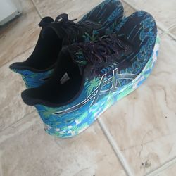 Size 10.5 mens shoes. Make me an offer
