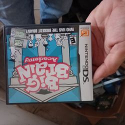 Big Brain Nintendo DS Cart