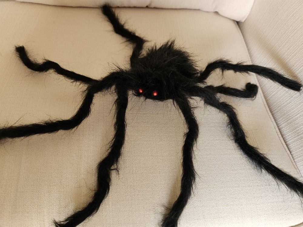 Halloween Spider