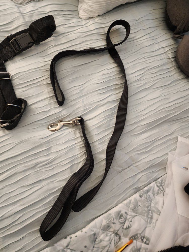Leash And Harness For Large Dog