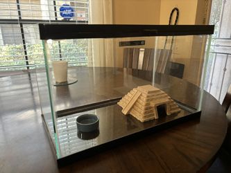 10 gallon reptile terrarium with hide, thermometer and ceramic bowl