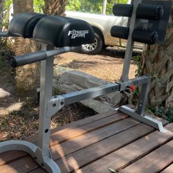 Best Ab Machine Around PRO GHD 300