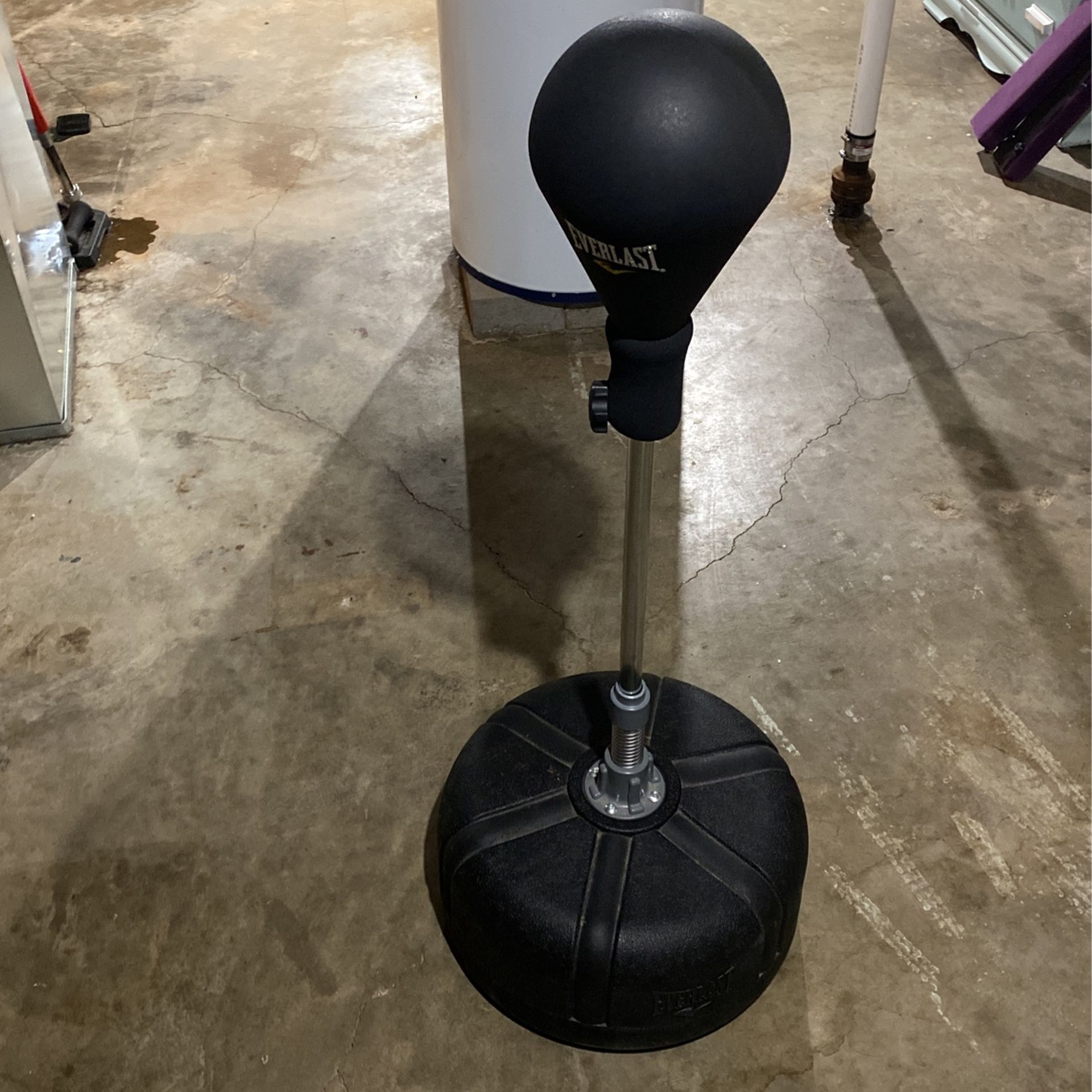 Everlast Returning Punching Bag