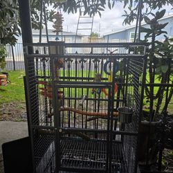 BIRD CAGE