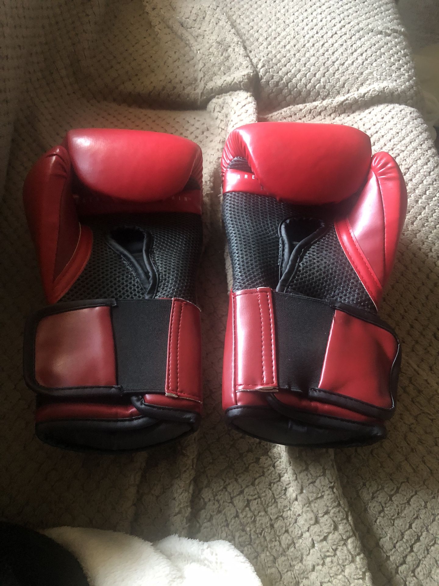Everlast Boxing Gloves 12oz
