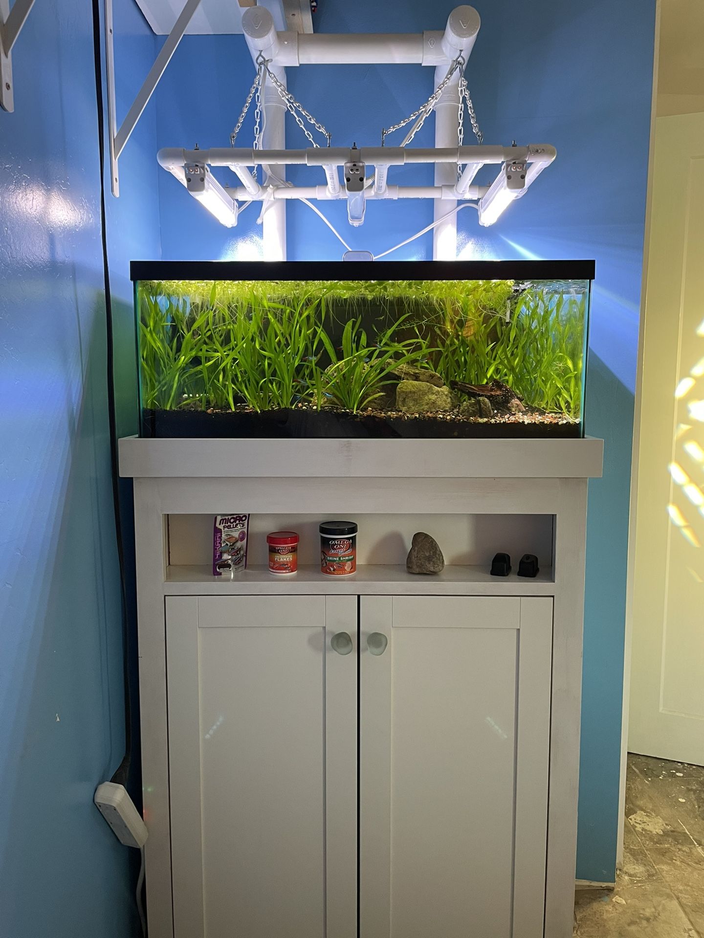 20 Gallon Long Planted Aquarium with Stand