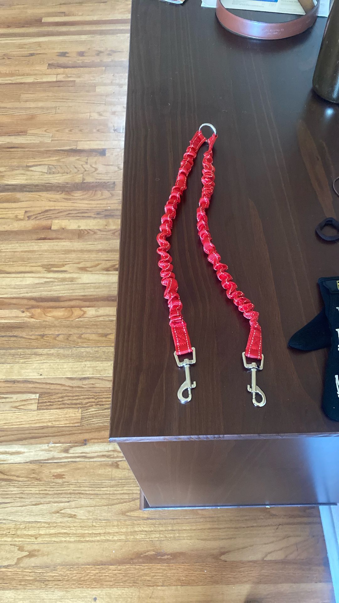 Double Dog Leash