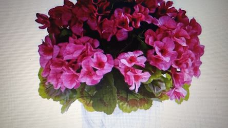 Indoor/Outdoor Geranium Artificial Plant in Marble Finished Vase