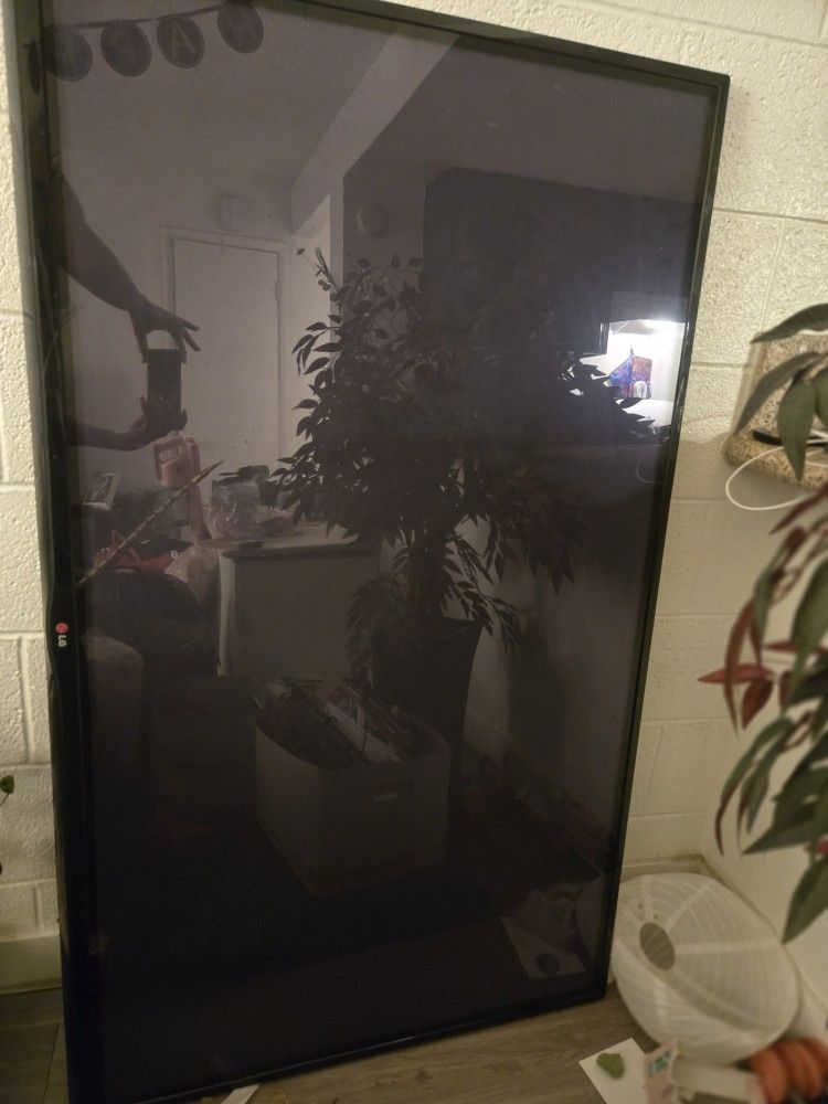 60 Inch LG Flat Screen TV. Chromecast Included.