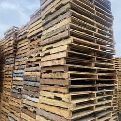 36x60 Wood Pallets 
