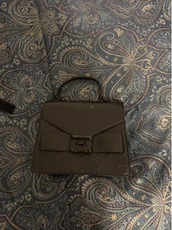 Aldo purse small