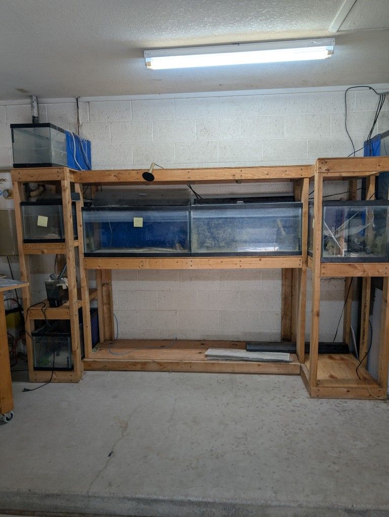 Fish Tank $1 Per Gallon