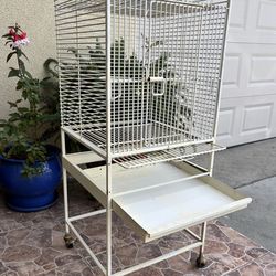 Bird Cage