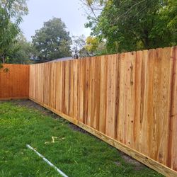 Cedar Fence