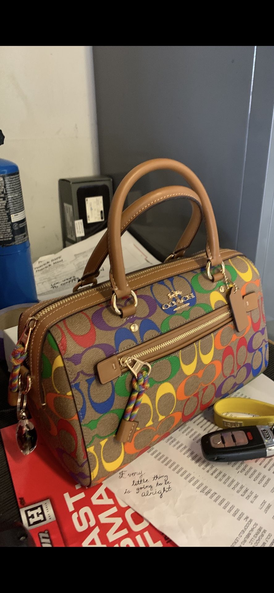 Coach “Pride” Rainbow MiniDome Bag
