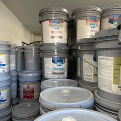 Paint & Primers - Pintura 