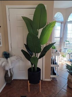 Artificial Houseplant