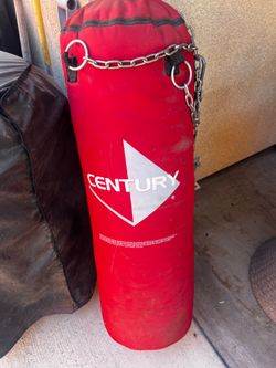 Century punching bag and extra carrying bag