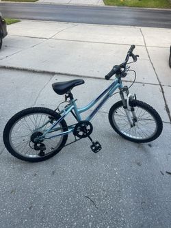 Roadmaster granite peak 20 inch sales