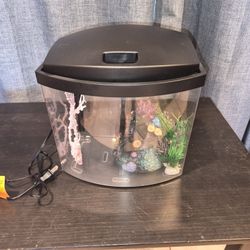 PECERA PEQUEÑA CON FILTRO ELÉCTRICO 