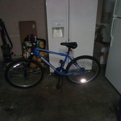 Roadmaster Mountain Bike