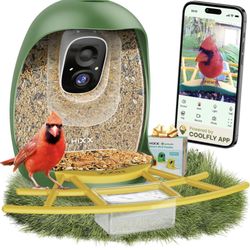 Smart Bird Feeder with Camera, AI Identify Birds & Auto Capture, 2K HD Live Camera Birdwatching with Color Night Vision for Bird Lovers Gifts (Green)