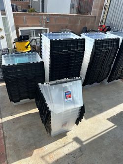 Container 12 gallon see through