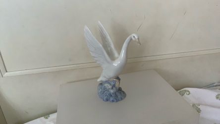 Swan.