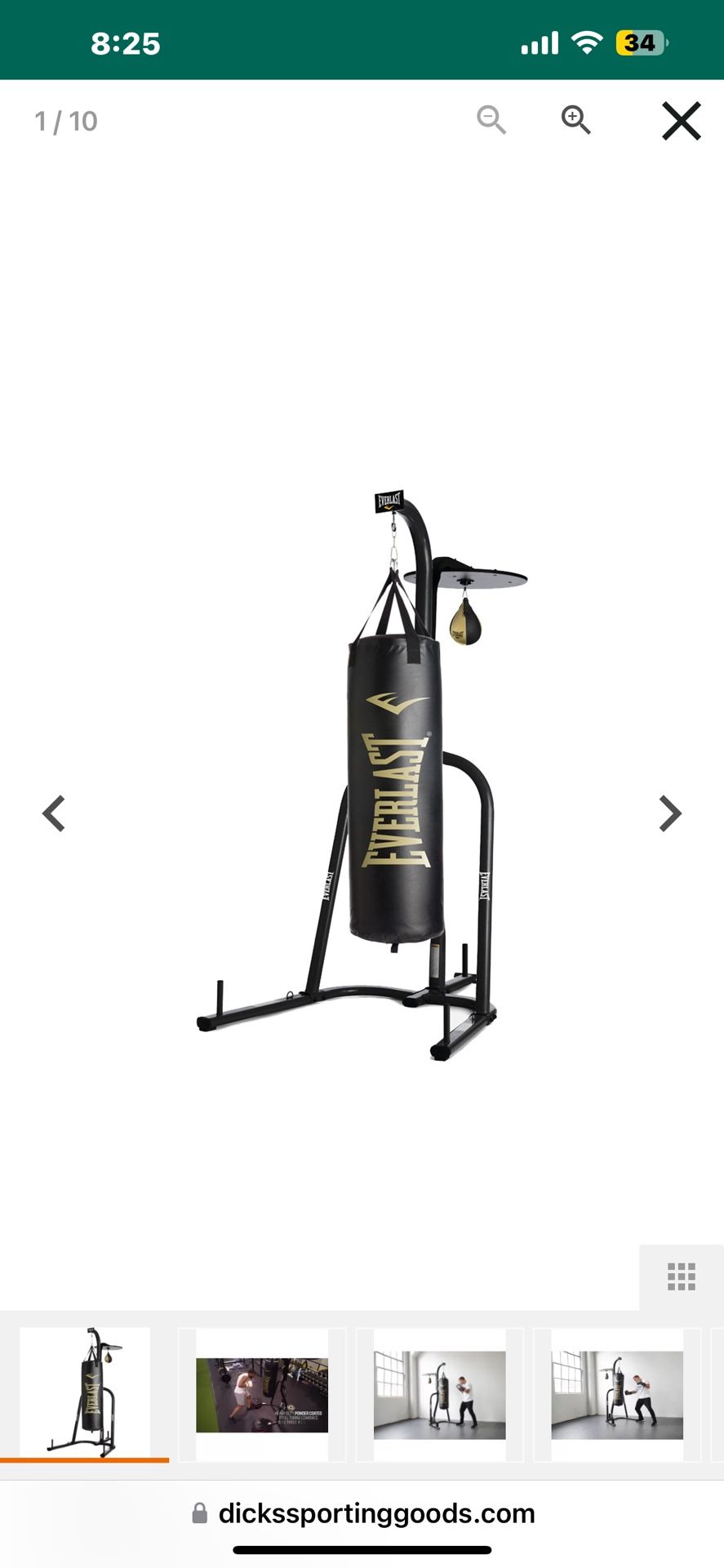 Everlast Punching Bag 