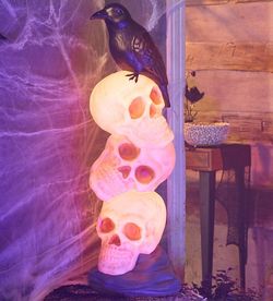 New Cracker Barrel 3ft Stacking Skull with Raven Blow Mold