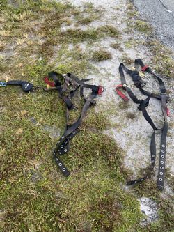 3m Protecta Safety Harness