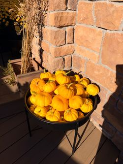 Mini Pumpkins