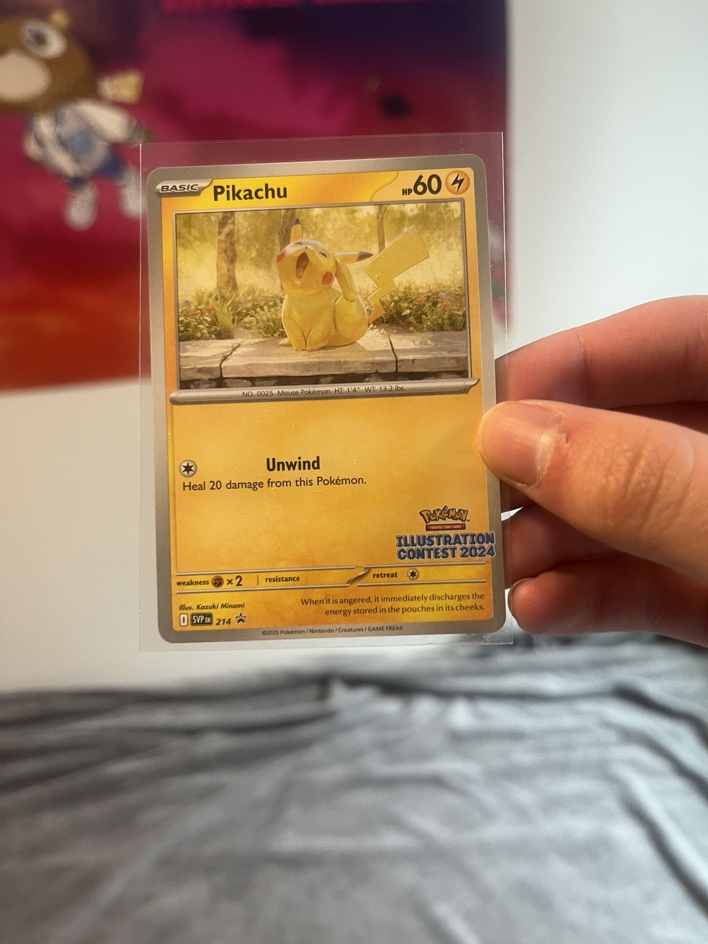 Pikachu 2024 Pokemon Illustration Card 214