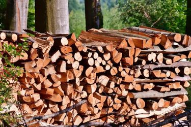 Selling Fire wood