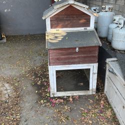 Chicken Coup