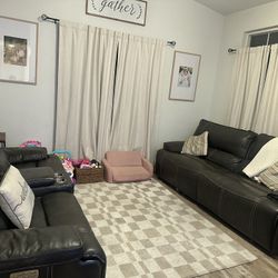Leather Couches 