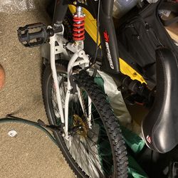 Kent 29 dual Shocks 21 speed 