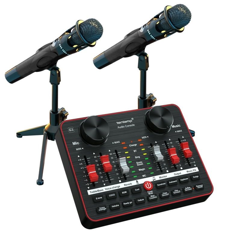Tenlamp E300 Dual Microphone Audio Mixer Bundle, 2 Condenser Mics, G1 Interface, Black