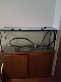 55 gallon fish tank w/stand + FX4 filtration system.