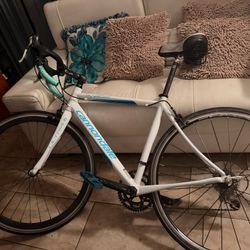 SYNAPSE CANDIDATE ULTRA