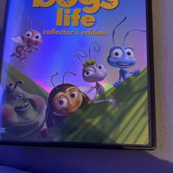 A Bug’s Life