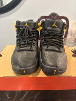 Air Jordan 12 Retro