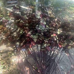 Artificial Plant ! Like New $2 Each Or 3 X $5  Seagoville Tx