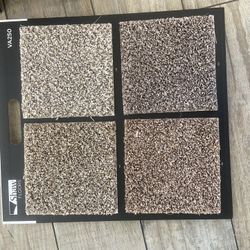 CARPET