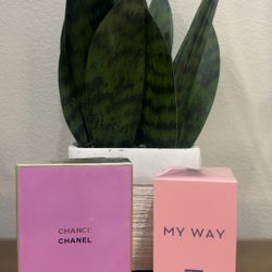 Bvulgari Chanel Giorgio Armani YSL Perfumes 