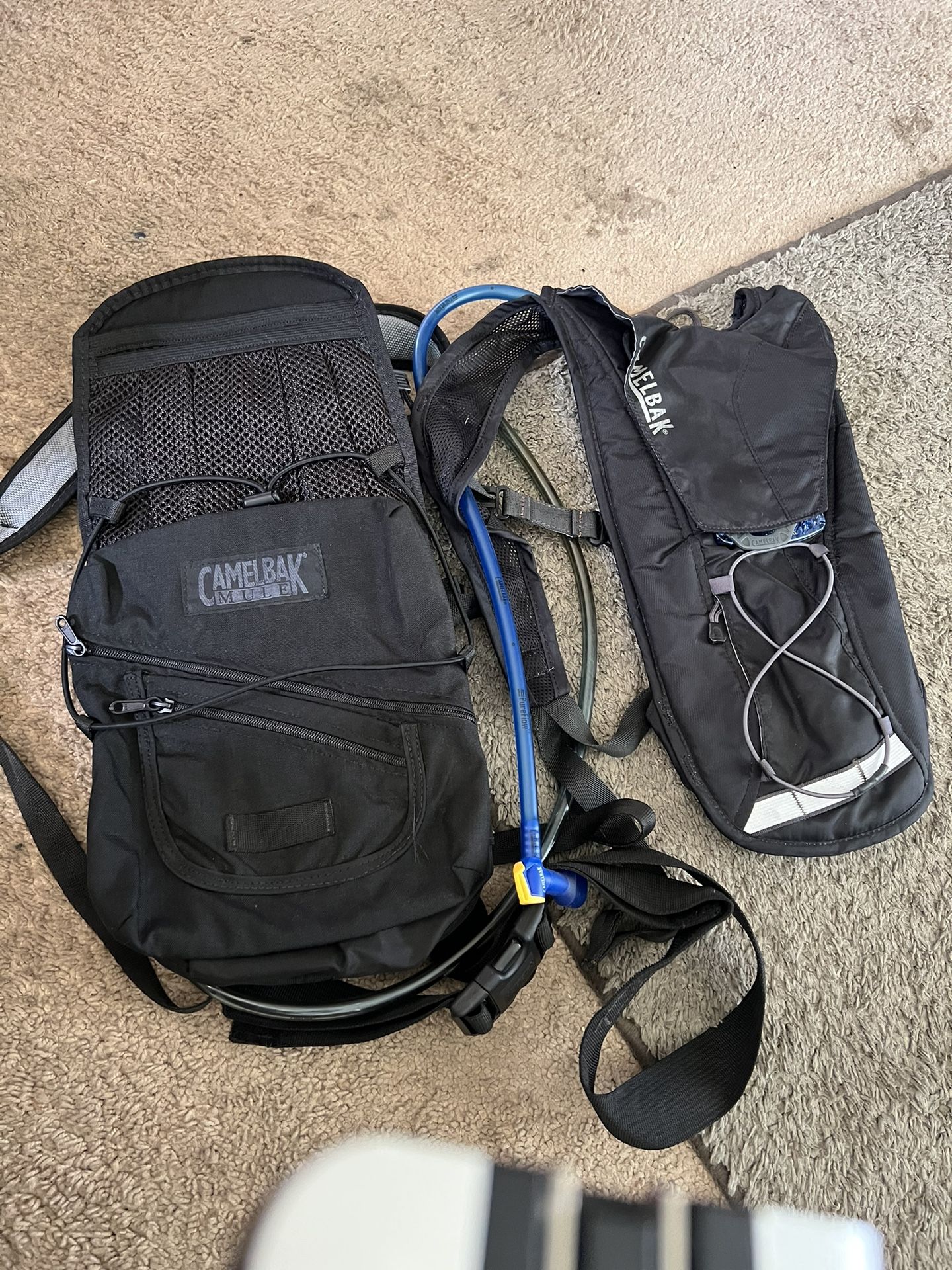 Camelback Ratchet Or Camelback Lobo Camelback Camelpack Hydration Pack Mini Backpack