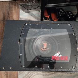 10" Subwoofer With Enclosure And Amp
